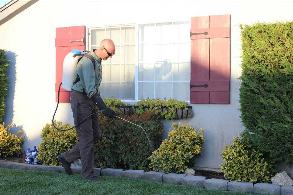 Why Termite Control Should Be Part of Your Home Maintenance Plan